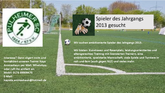 Spielersuche_2013__PSC.pdf 