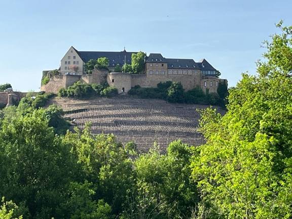 Bild3Rheinhessen.jpg