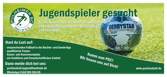 Suche.pdf